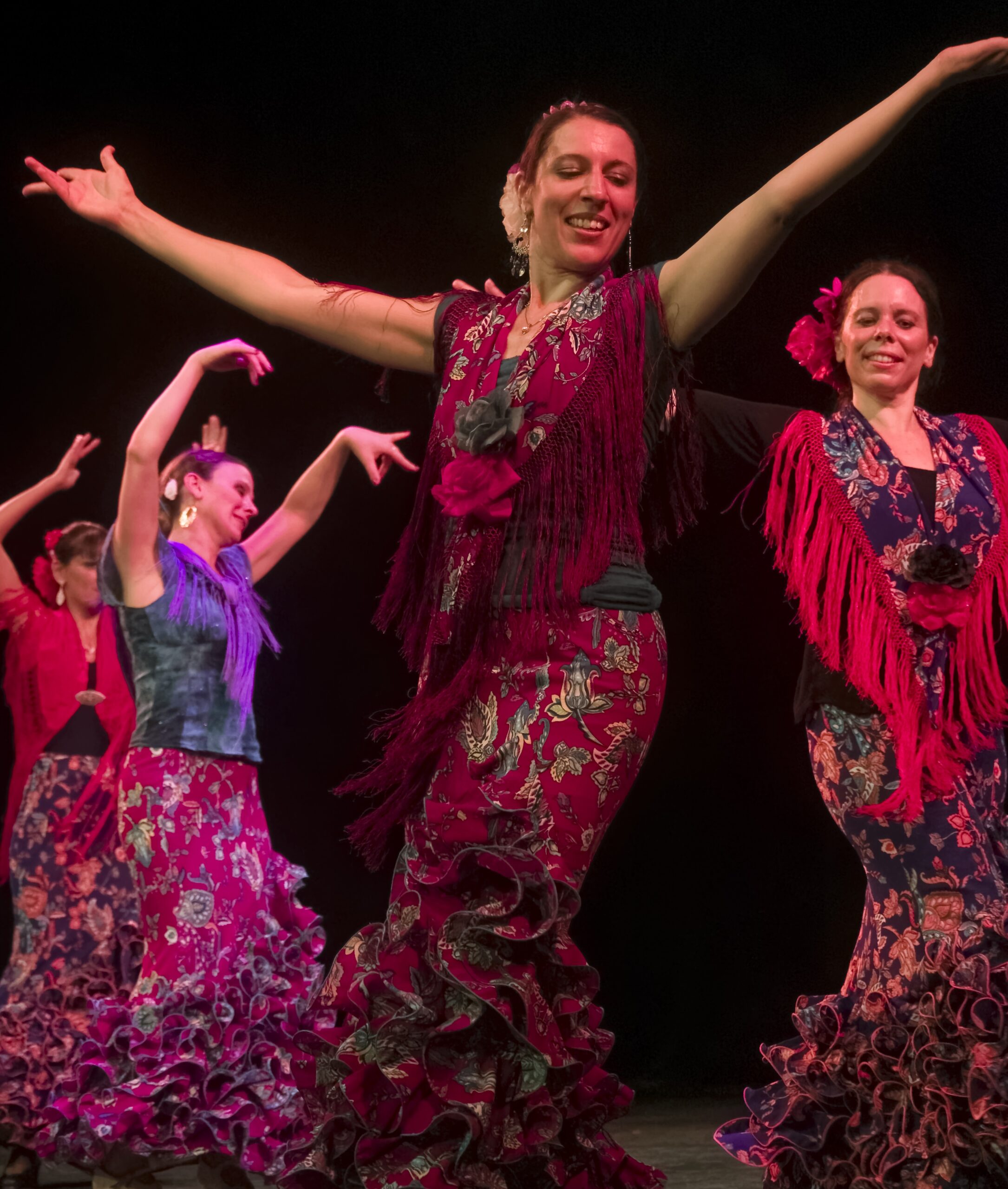 spectacle flamenco tours